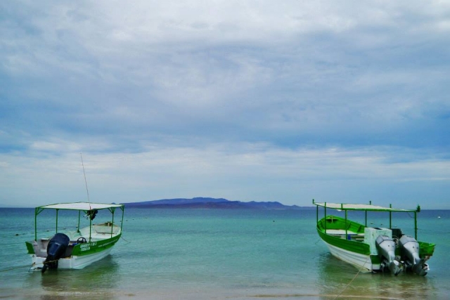 Lanchas para el avistamiento de cetáceos